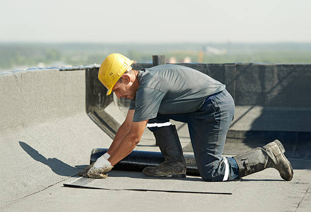 Best Residential Insulation in Astor, FL
