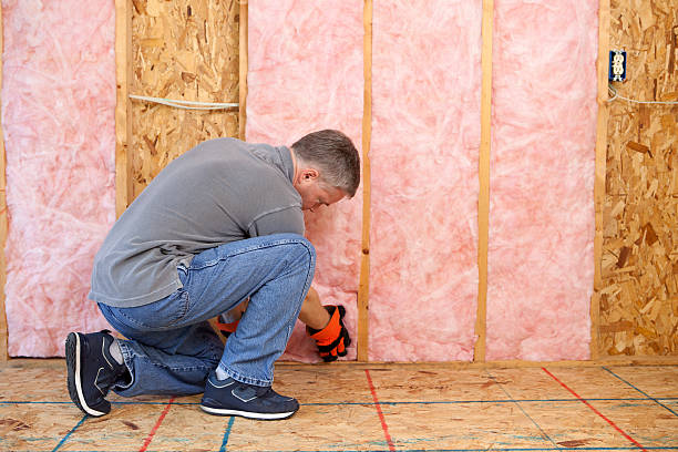 Types of Insulation We Offer in Astor, FL