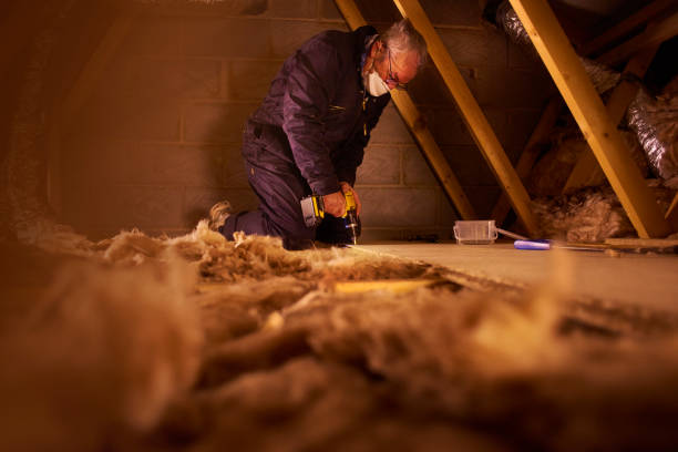 Best Energy Efficiency Insulation in Astor, FL
